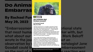 Animal Research News Roundup: June 2, 2023