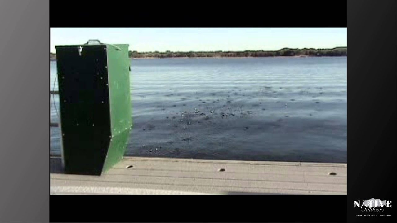 Aquapro Adf 75 Automatic Fish Feeder Youtube
