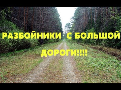 Разбойники С Большой Дороги!!! Поиск На Екатерининском Тракте!