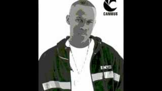 Watch Canibus Buckingham Palace video