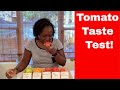 Tomato Update (Part 2): Tomato TASTE TEST!