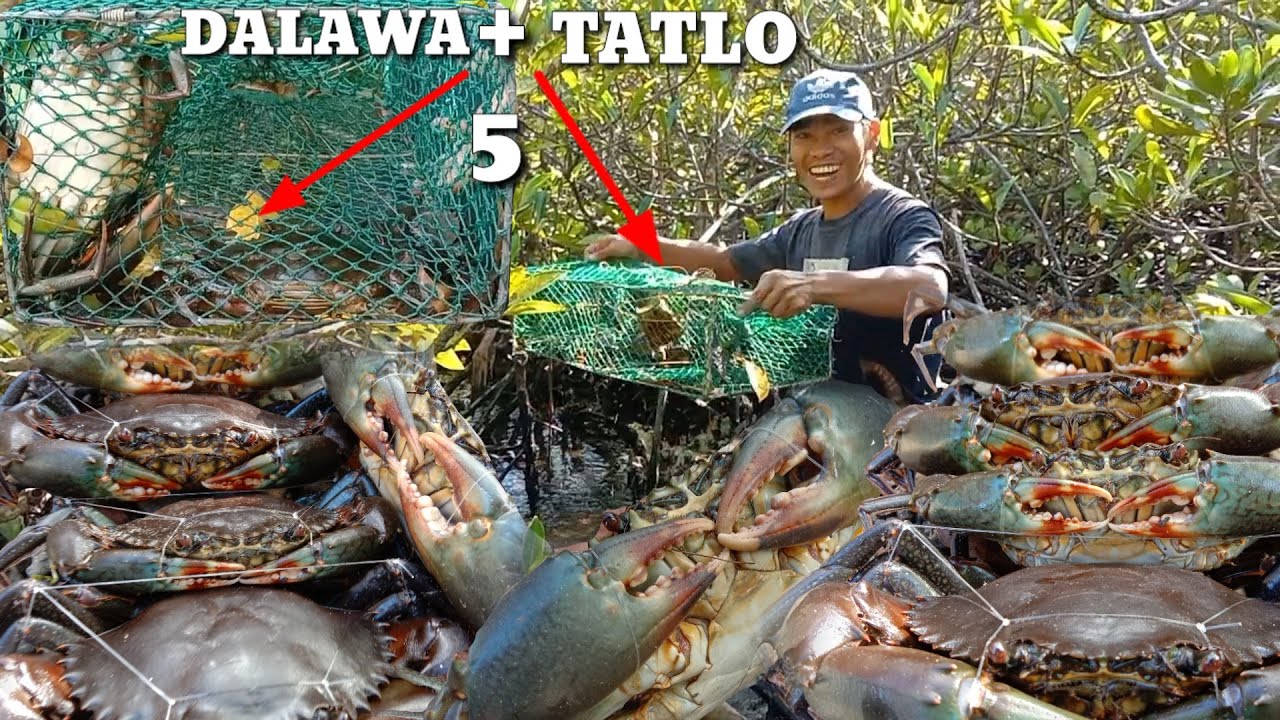 SUPER JACKPOT/ napa sigaw kami Ng malakas Ng Makita Namin Ang laman Ng trap