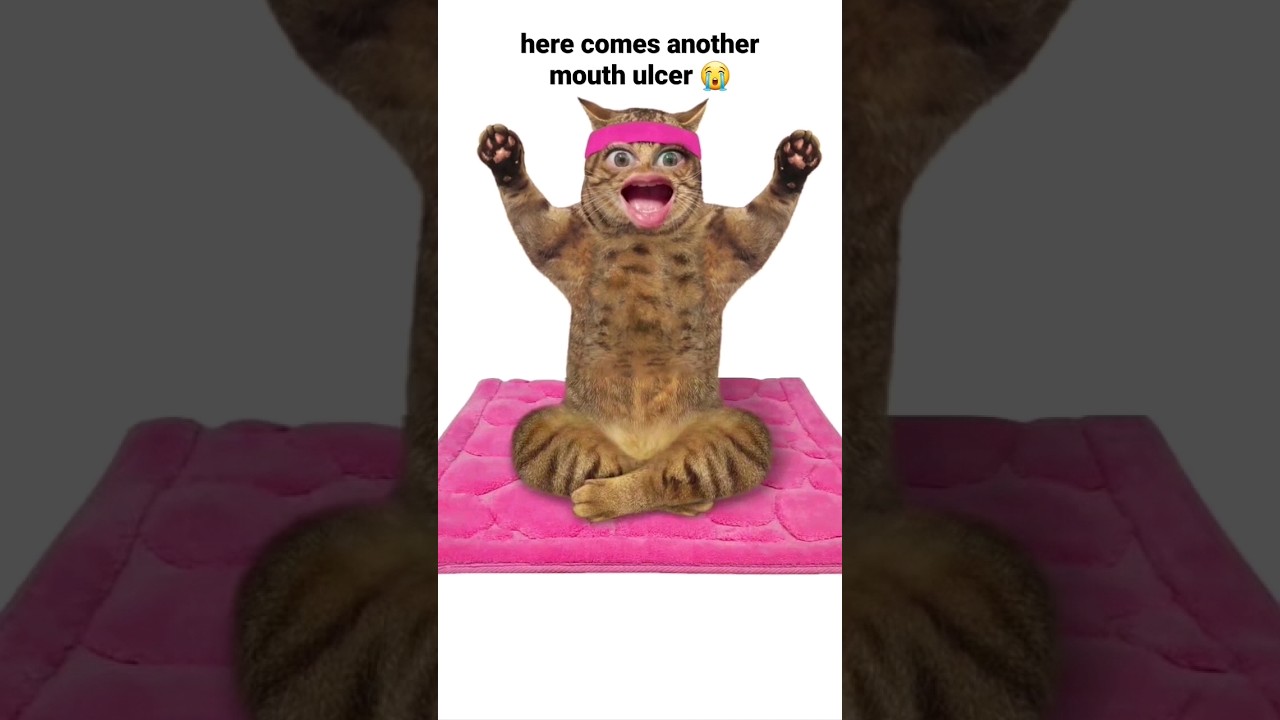 an argument against "Intelligent Design" brought to you by my badly designed MOUTH