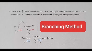 P5 Fraction Word Problems: "of the remainder"