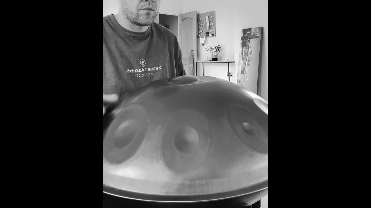 Acero Harmonic Handpan - D Celtic 13 440 hz