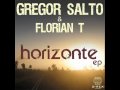 Gregor salto and florian t  horizonte gs straight mix