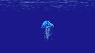 Color-changing jellyfish Tutorial- Trapcode Tao, Form, and Mir