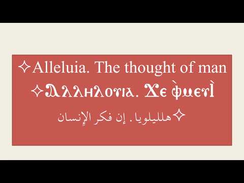      الليلويا جى افميفي