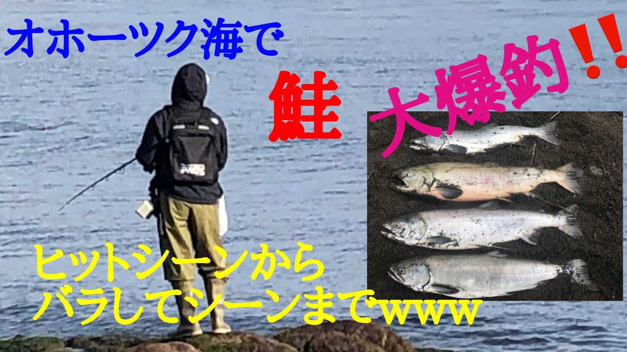 鮭釣り 21年9月 オホーツク海 枝幸で爆釣 アキアジ Youtube