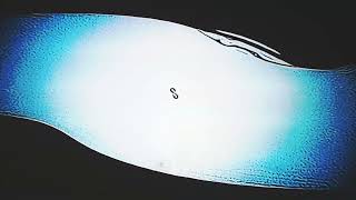 Video Feedback Loop ╒ॸ▿ā | Real-Time Visual Art Experiment