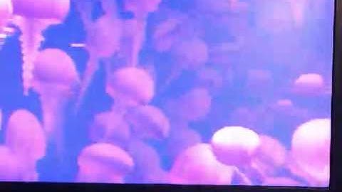 Finding Nemo: The Video Game Walkthrough Part 15: 5 Months Later: Very Sorry!!!