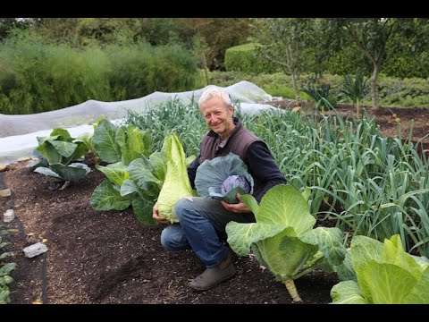 Vídeo: Forn rotatiu: especificacions i comentaris