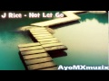 J Rice - Not Let Go (DL link) (Lyrics)