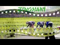 zinghani production