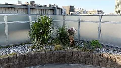 《’25.Nov.30》🏢 The rooftop of the Japanese Language Teachers’ Training School in Tokyo.