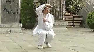 Shaolin Kung Fu Impact Strategy – Da Pao Quan (Big Power Form) | Zheng Zhong Xiao