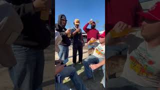 @corona sun brew citrus review #shorts  #beer #beerreview #horse