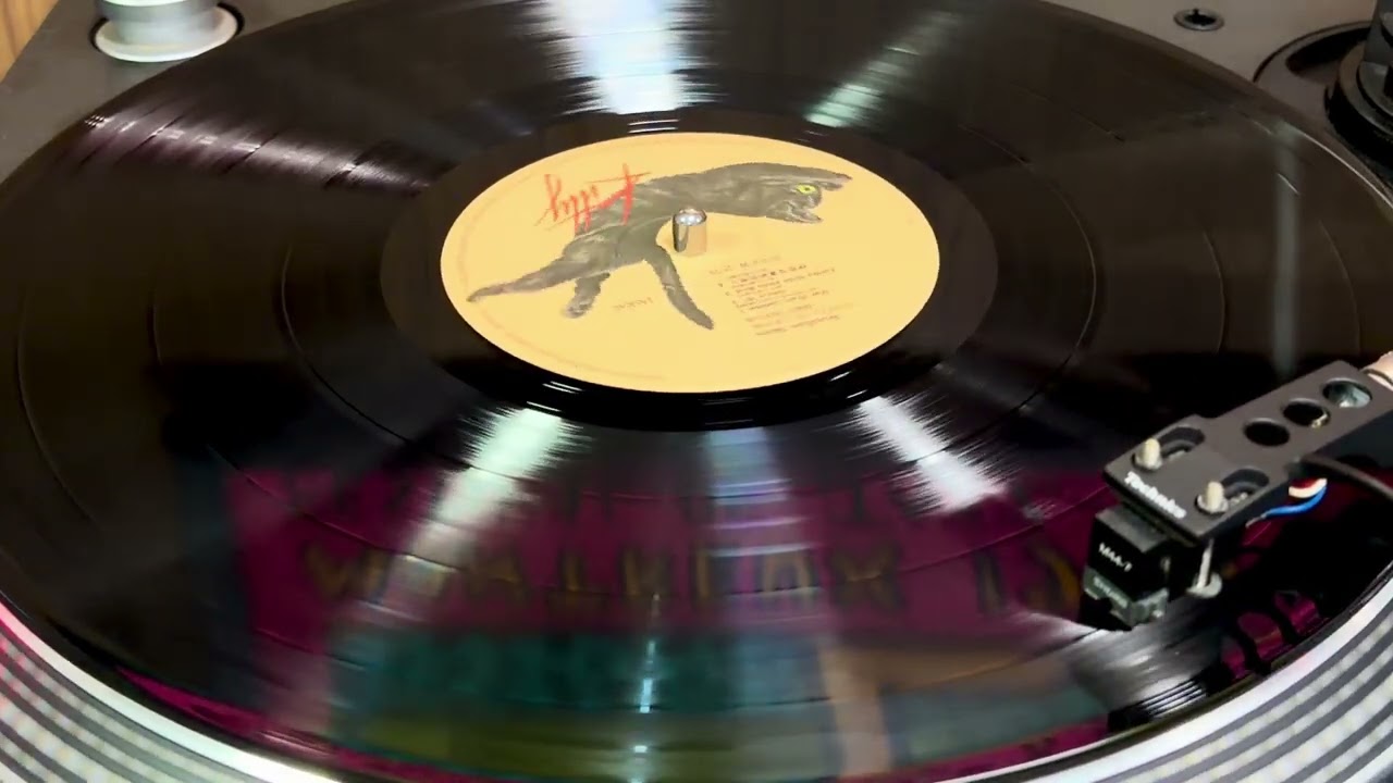 Masayoshi Takanaka 高中正義 Brasilian Skies ブラジリアン・スカイズ