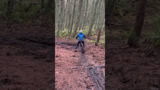 Trying To Brake-Check 2025 But Its Too Late