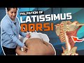 Muscle Palpation - Latissimus Dorsi | Physioneeds Academy