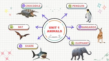 Tiếng Anh 4 - English 4 - Smart Start - Unit 1 : Animals - Lesson 3