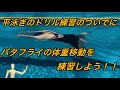 平泳ぎドリルついでにバタフライ体重移動練習!