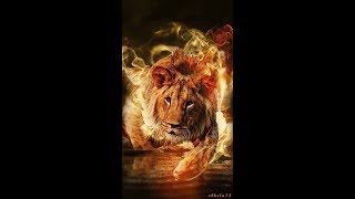 Major Rapture Event!! I Thought It Took Place!! The Red Dragon!!