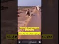 مضرب مضرب البعير الله لا يعوق بشر سيول مزاين الابل امطار ضراب مضرب مضرب البعير الله لا يعوق بشر سيول مزاين الابل امطار ضراب