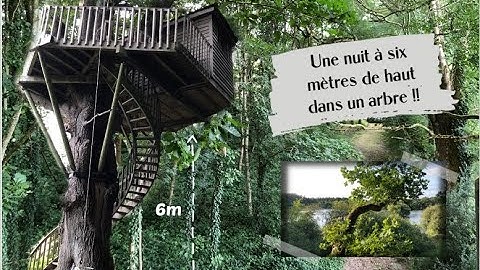 On passe une nuit dans une cabane dans les arbres à 6m de hauteur ! [Nuit insolites]