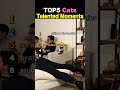 TOP5 Cats Talented Moments