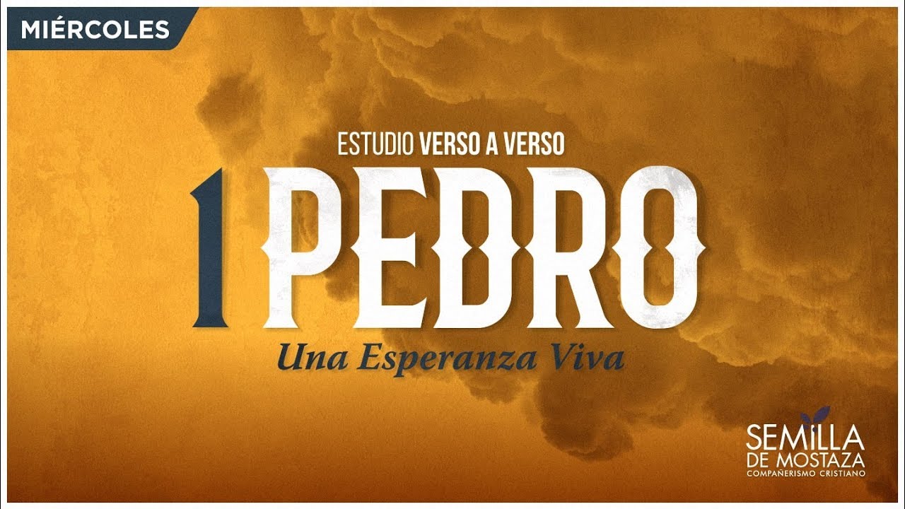 1 Pedro 2:17-25