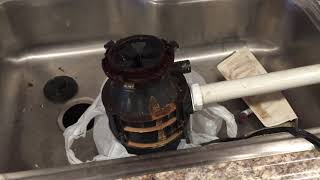 Famous Easy Garbage Disposal Removal When Rusty Or Corroded Net Worth