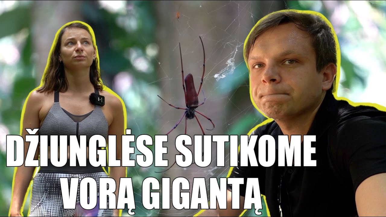 Vorų baimė Tailando džiunglėse | Du dydžiai Tailande | 5 dalis