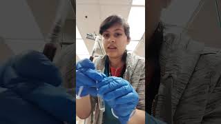 Jessica Rodriguez Skill 24 Externship 2
