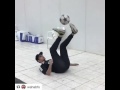 فري ستايل اكاديمية زوريلا