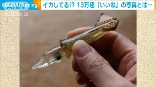 イカしてる！？13万超「いいね」の写真とは・・・(2021年2月26日)