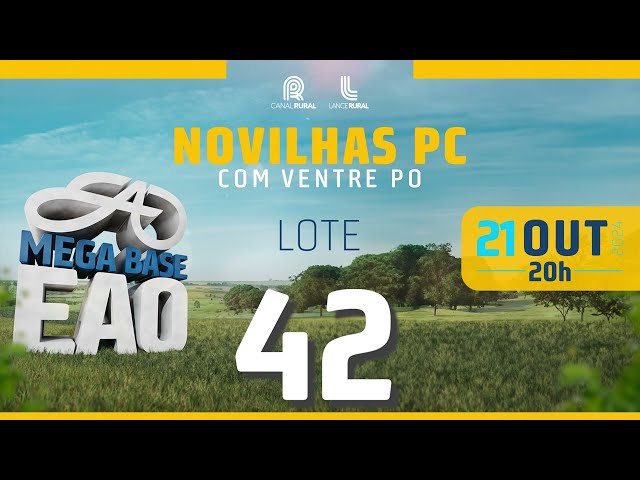 LOTE 42