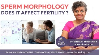 Does Sperm Morphology Affect Fertility | Male Infertility | Dr Chekuri Suvarchala | Ziva Fertility