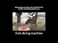 Fruit dicing machine vegetable cutting machine food machine strawberry dicer vegetable cutter