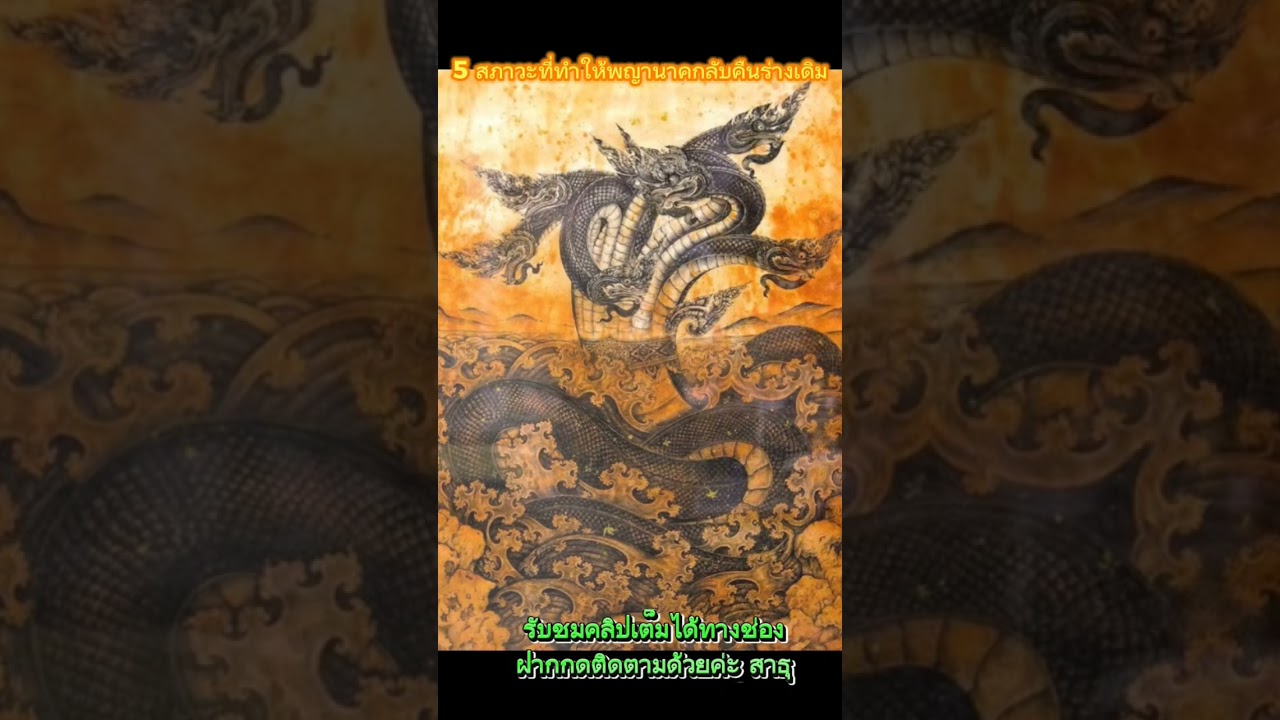 5สภาวะที่พญานาคจะกลับคืนร่างเดิมชมคลิปเต็มได้ทางช่องฝากกดติดตามเพื่อชมเรื่องที่ดีจากเราสาธุ #พญานาค