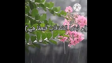 (إن تبدوا الصدقات فنعما هي)🌹قرآن كريم راحة نفسية💖💕