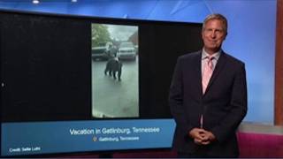 Wildlife Wednesday | August 26, 2026