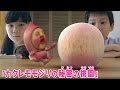 映画「こびとづかん　カクレモモジリの秘密の桃園」予告編