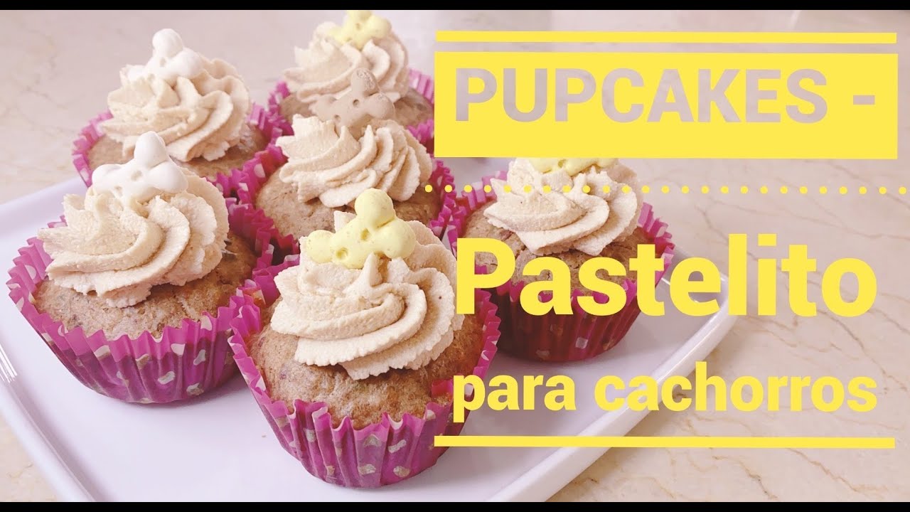 PUPCAKES (Pastelito para Perro)