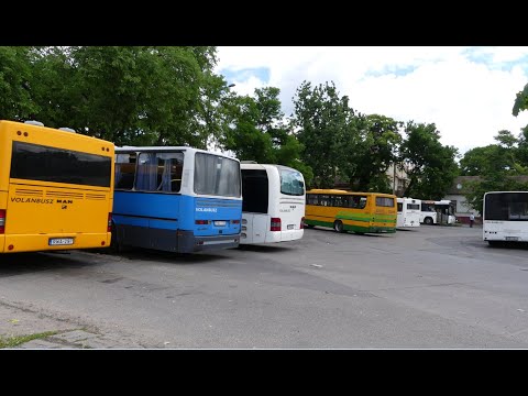 Videó: Hogyan Közlekednek A Buszok Voronyezsben