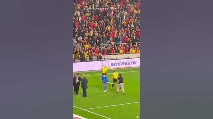 Fan attacks goalkeeper with flag pole