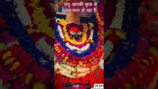 माँ शारदा का दर्शन #viral #video #shyam #shyam #jimcorbettwildlifeandnatureview #trending #silhoutte