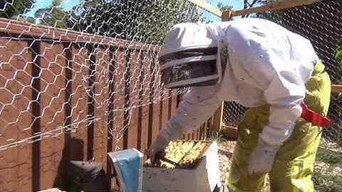 Langstroth Inspection 5 November 2013