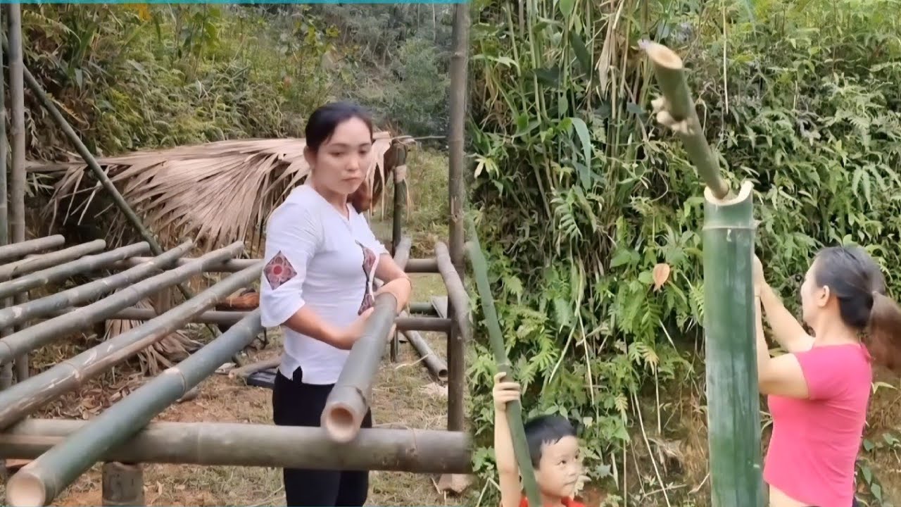 TIMELAPSE: The whole process of building a bamboo house far from the city to start a business