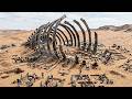 Paleontologi hanno scoperto un dinosauro che fa sembrare il T. Rex un animale docile